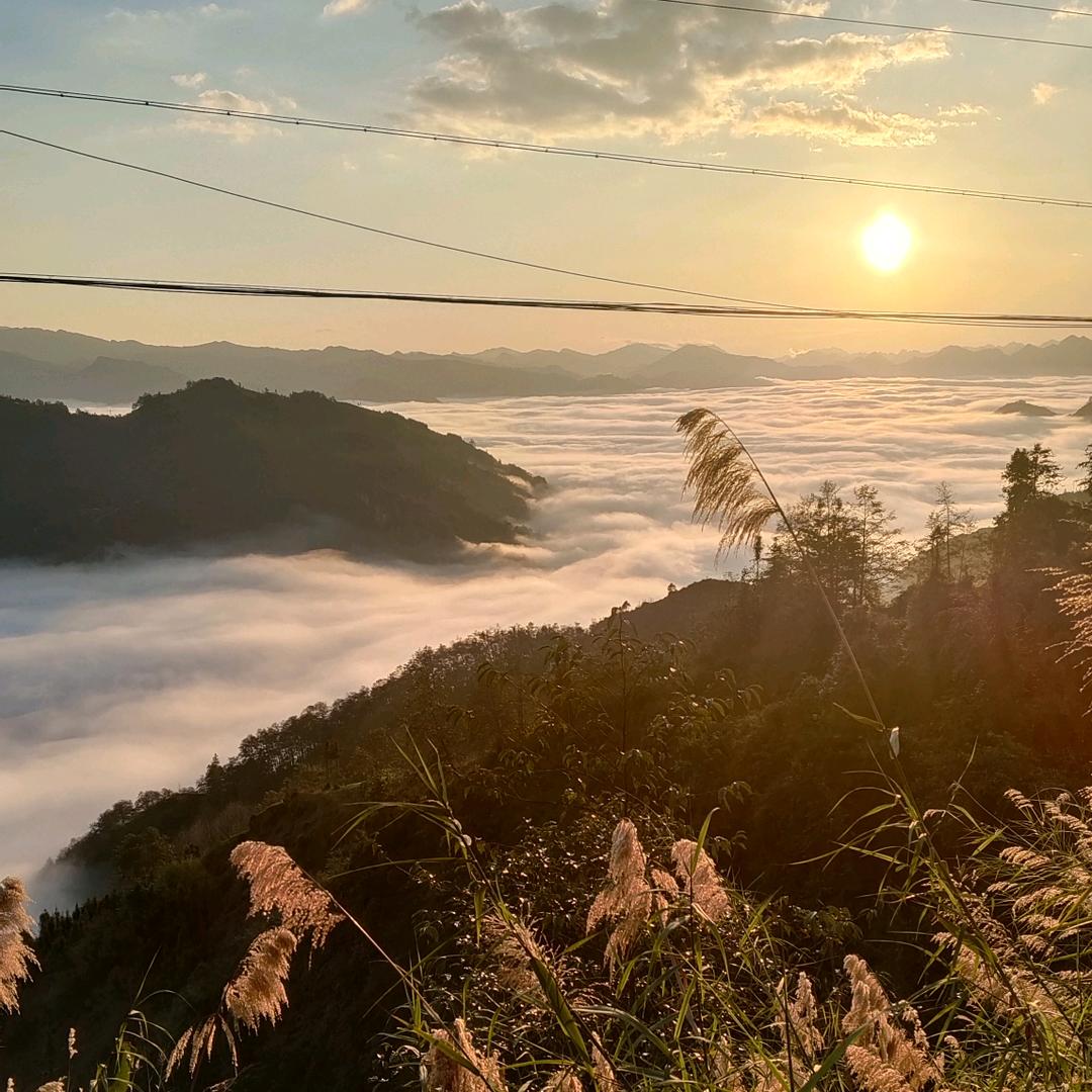 ꧁꫞꯭💞 ꧔ꦿ꧂