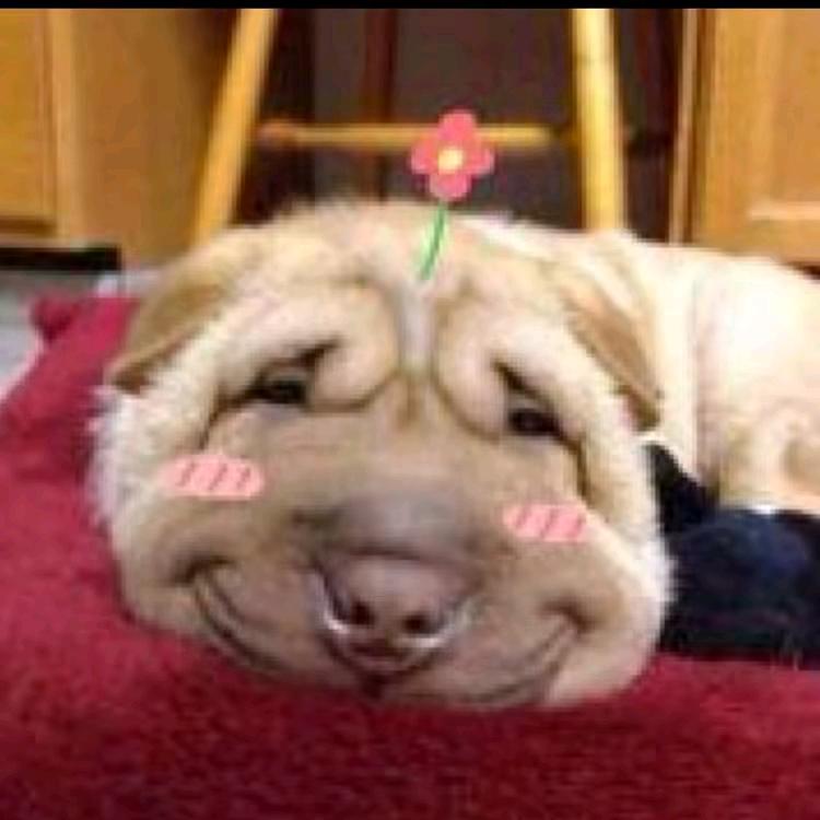 何处不飞花
