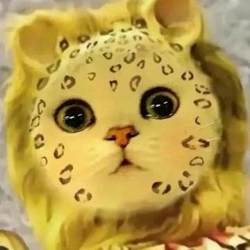 上上签。