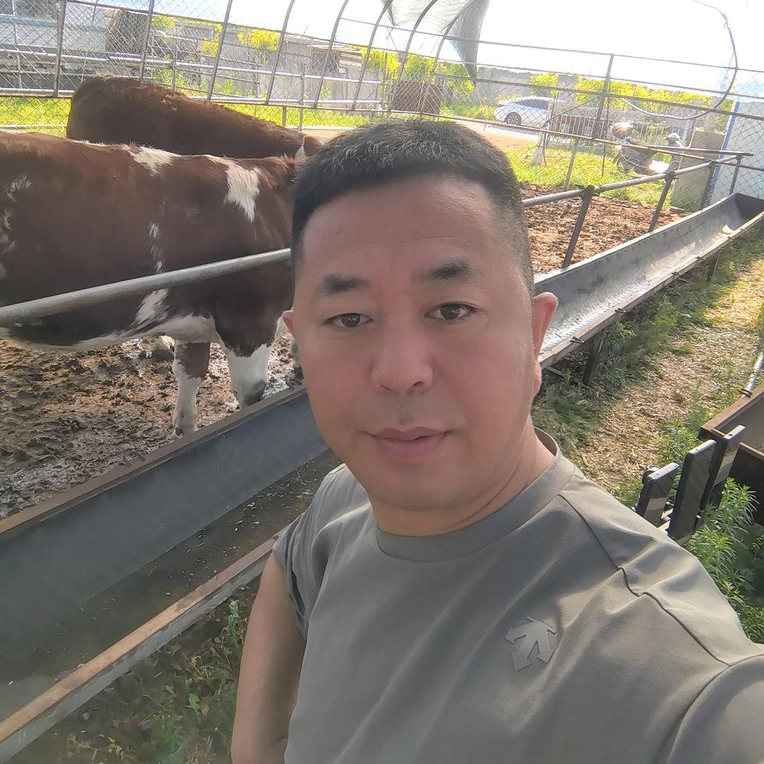 职业养牛人马哥