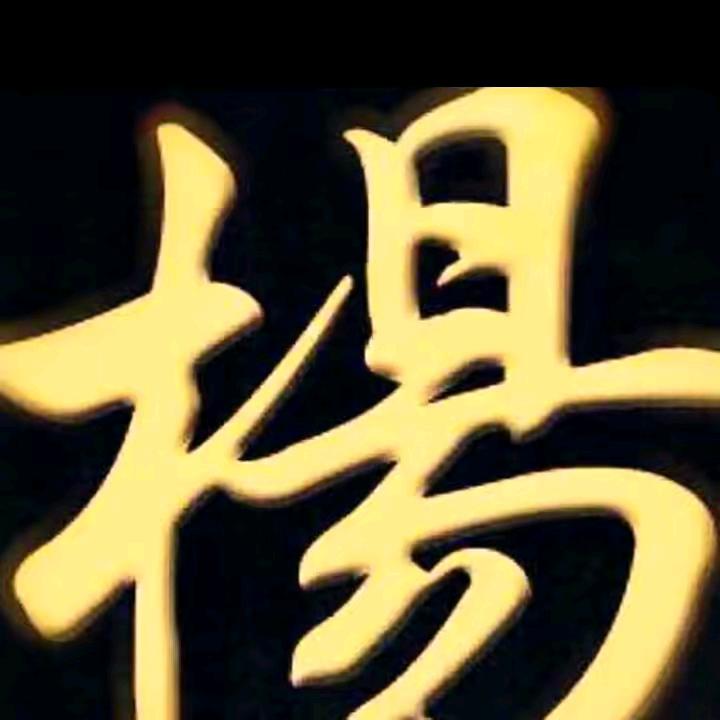 专业拉砖