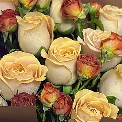 握不住的沙，不如扬了它