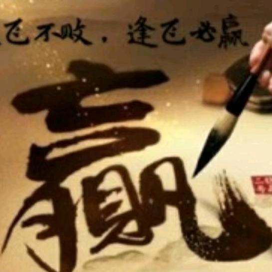 中国天津飞达鸽业