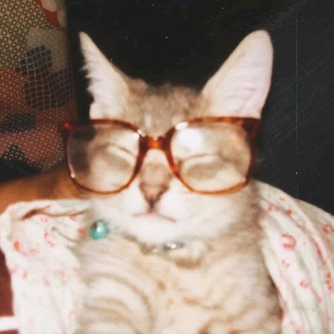 ⋆૮꒰˶ฅ́˘ฅ̀˶꒱ა⋆
