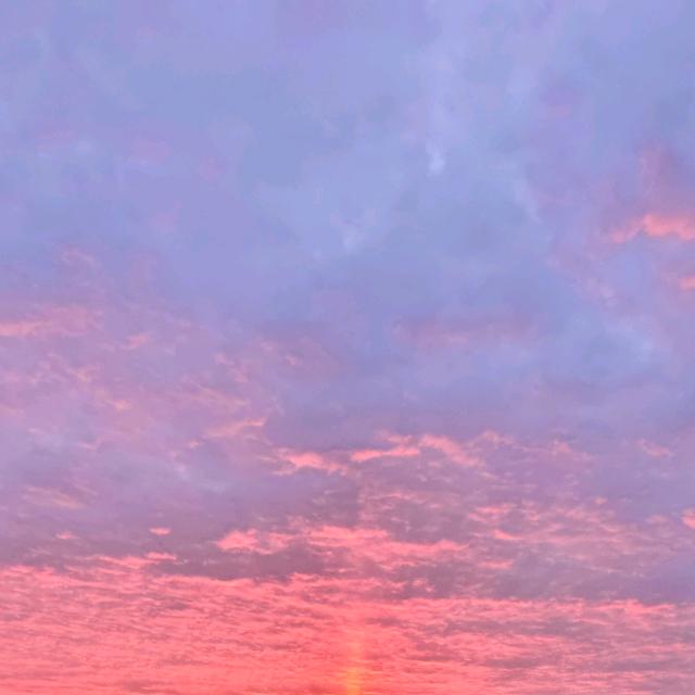 康飞