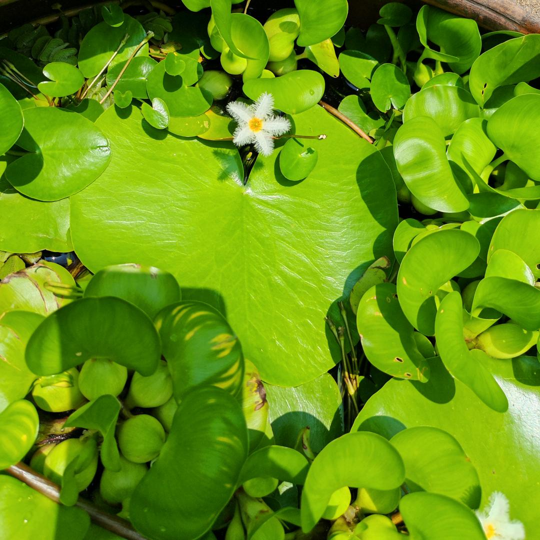 瞬间