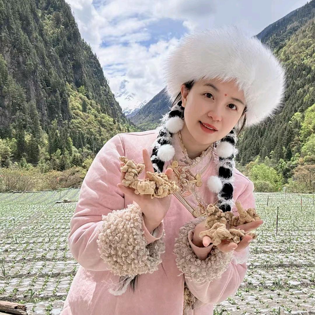 念念不忘商贸臻选