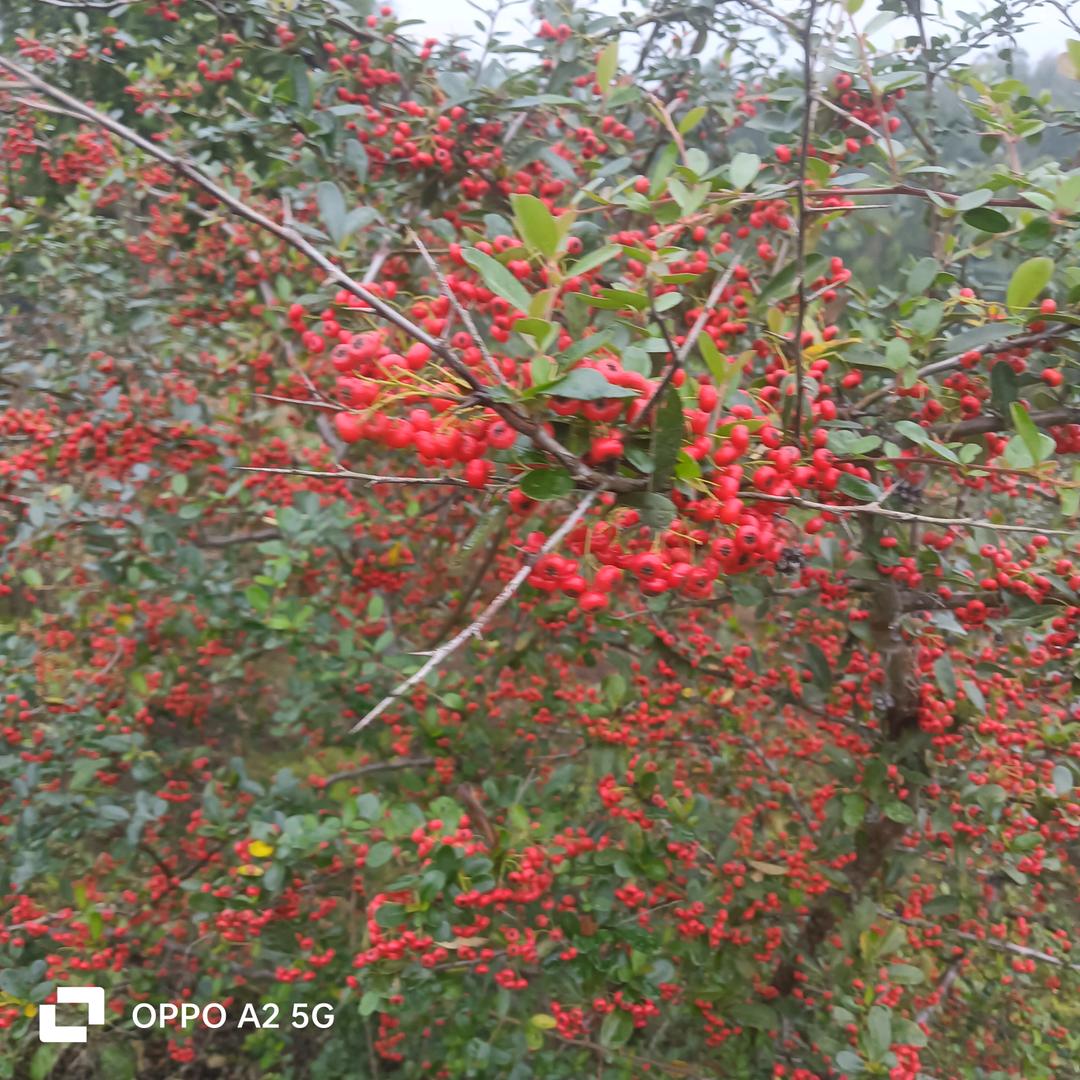 周庆银专业换瓦盖