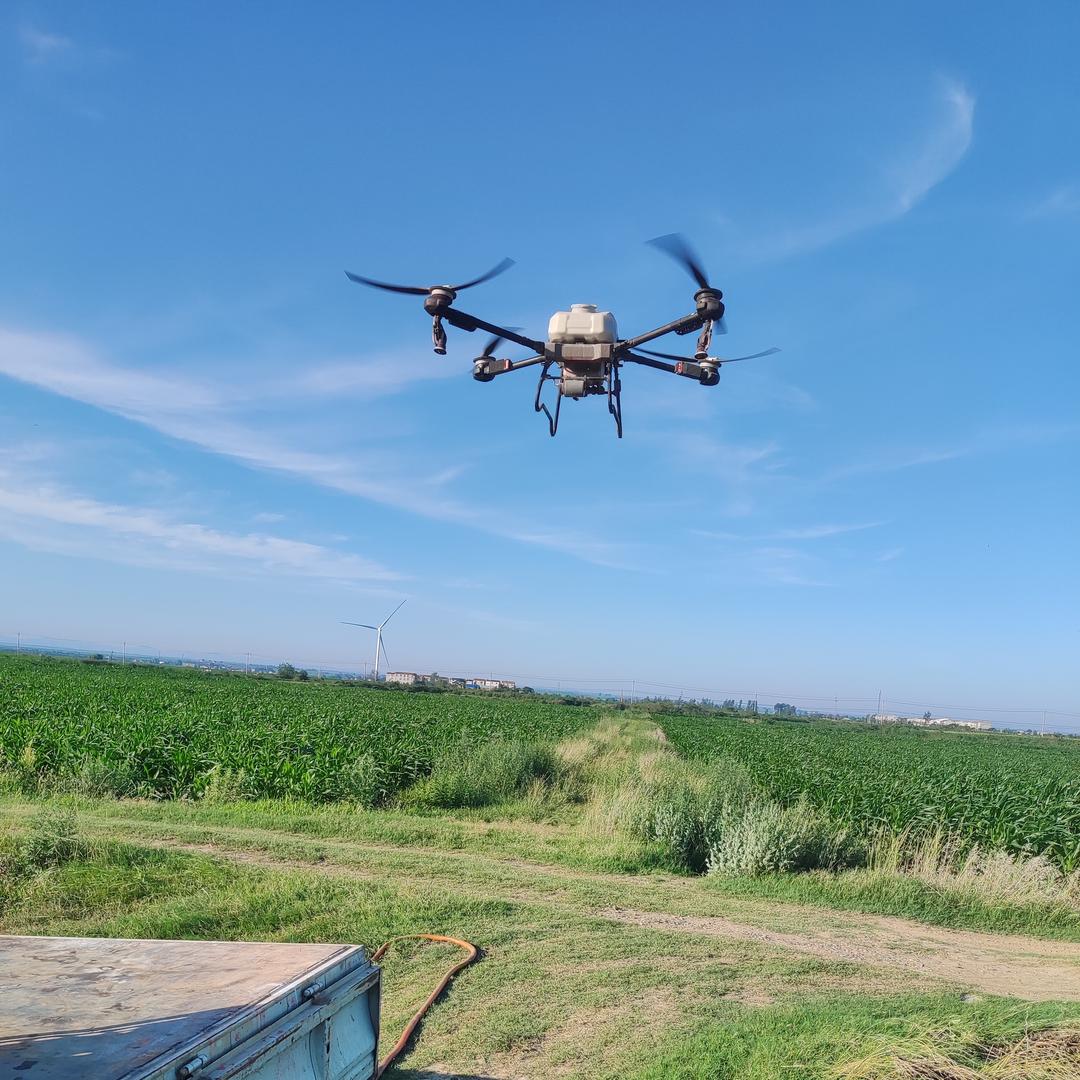 双沟红四方农资🌈吴攀