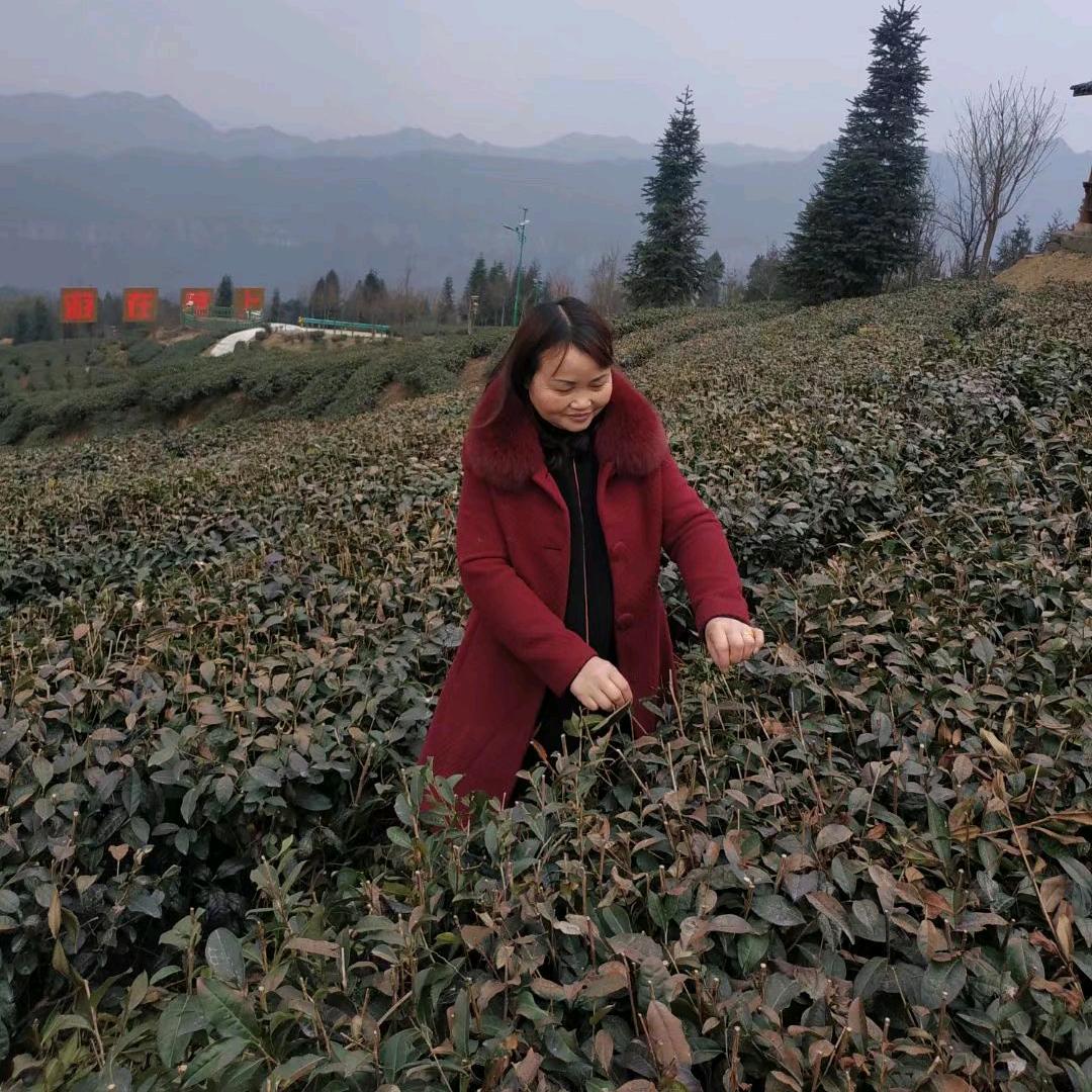 大家好，原所有的烦恼抛开而泣，幸福而来。