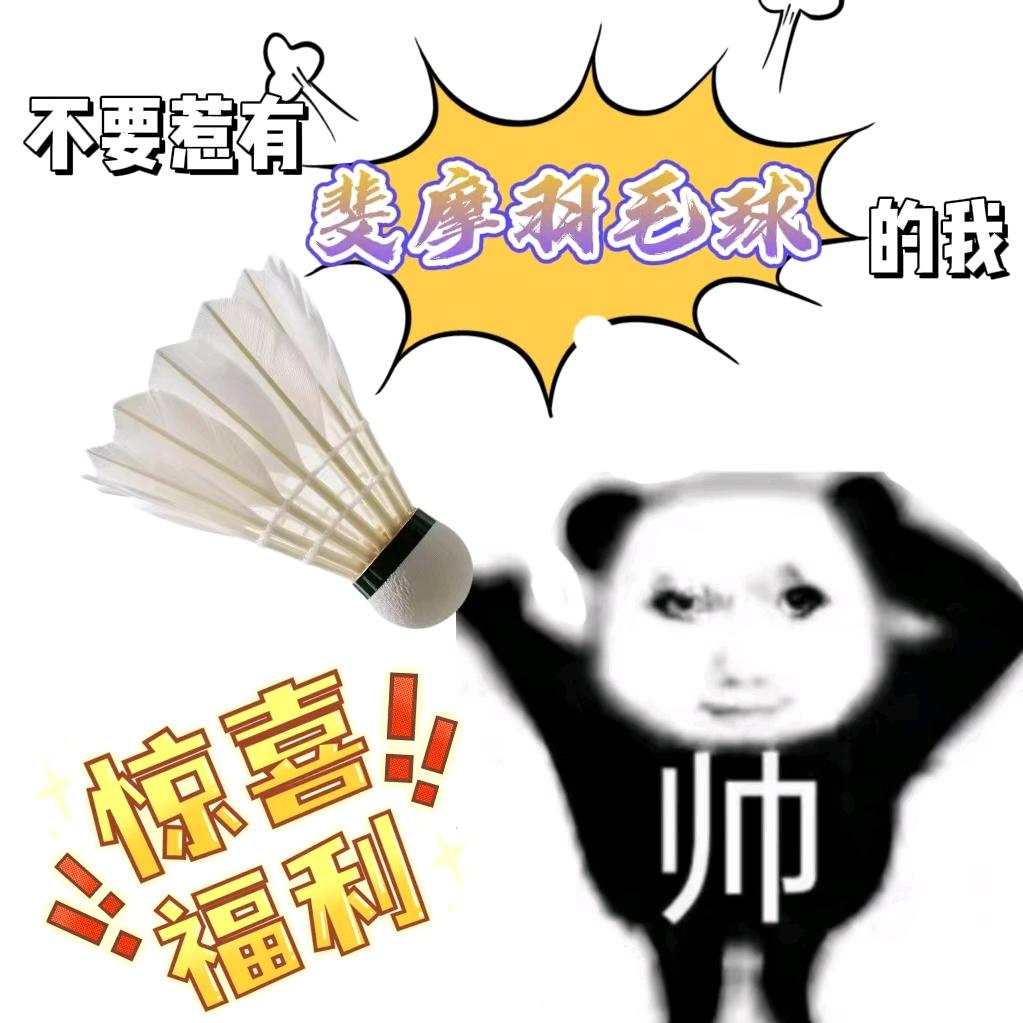 斐摩羽毛球量智科技
