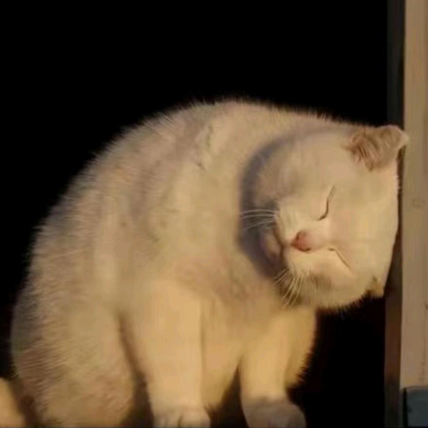 画意