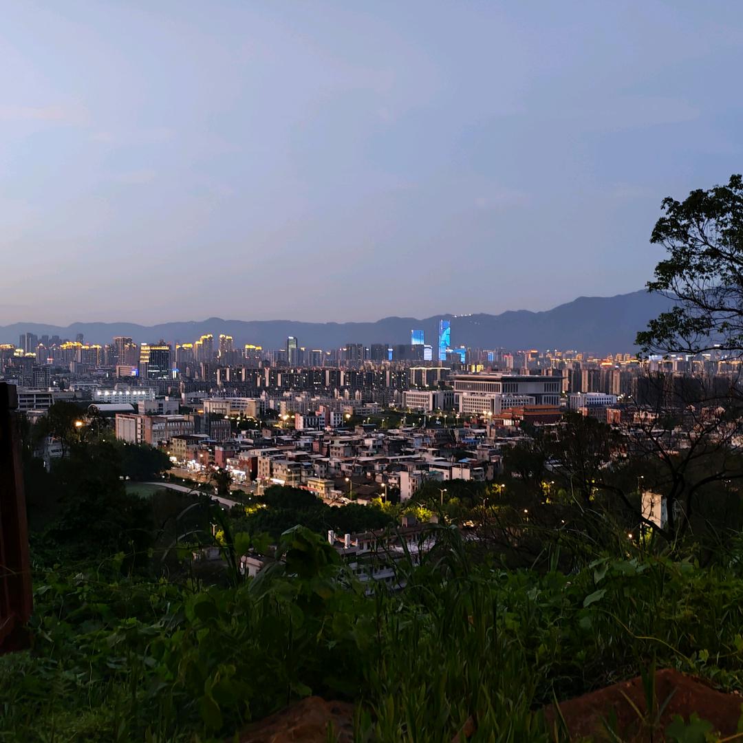 大武道的小师傅