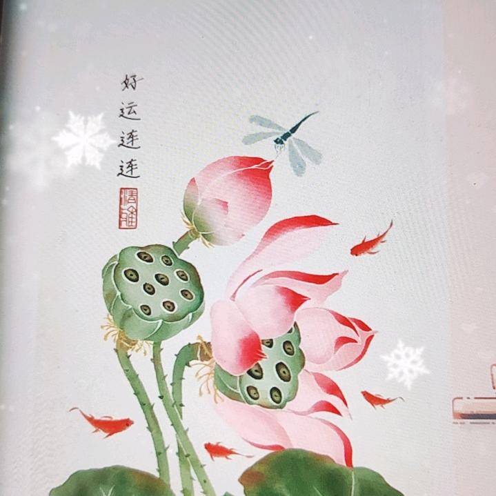 舒心🍀