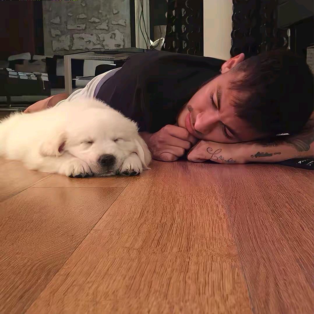 昆明多弛运动康复_🫧