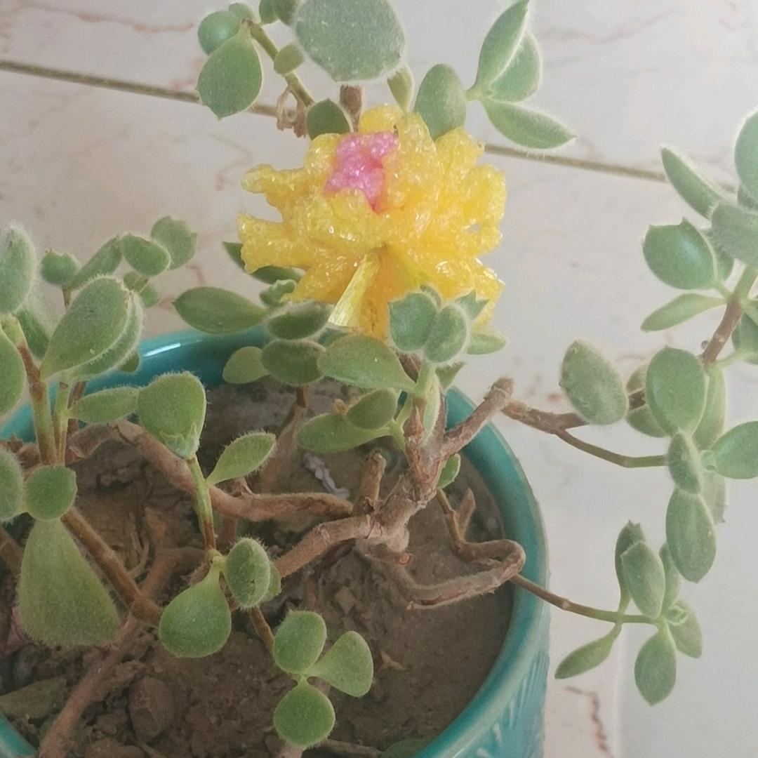 用户花好月圆