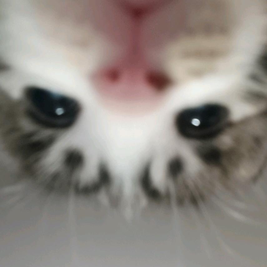 当S下4️⃣手当M想还手