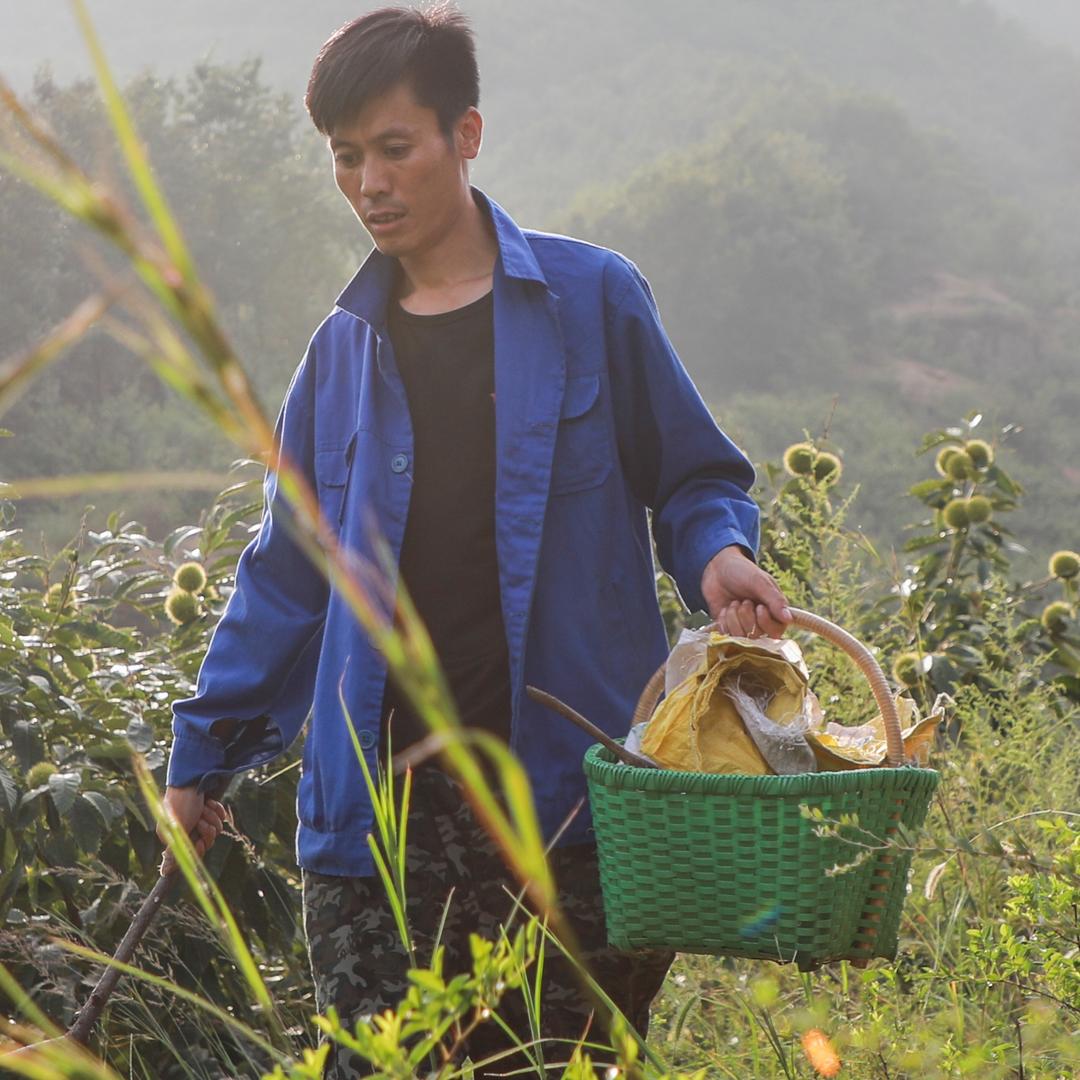 农产品搬运工小铺