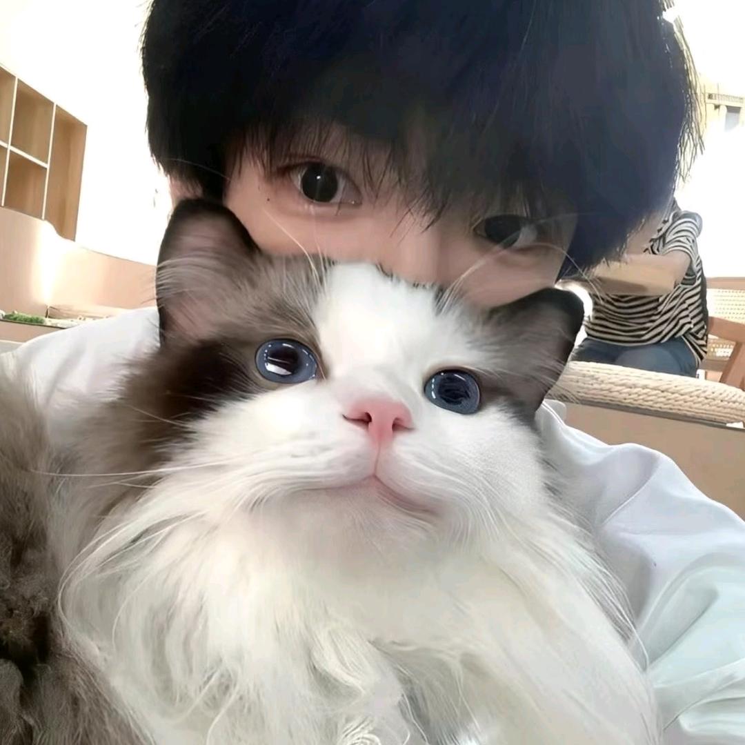 。。。。。。