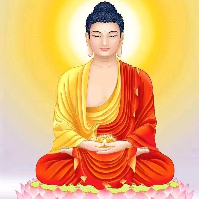十 一✨