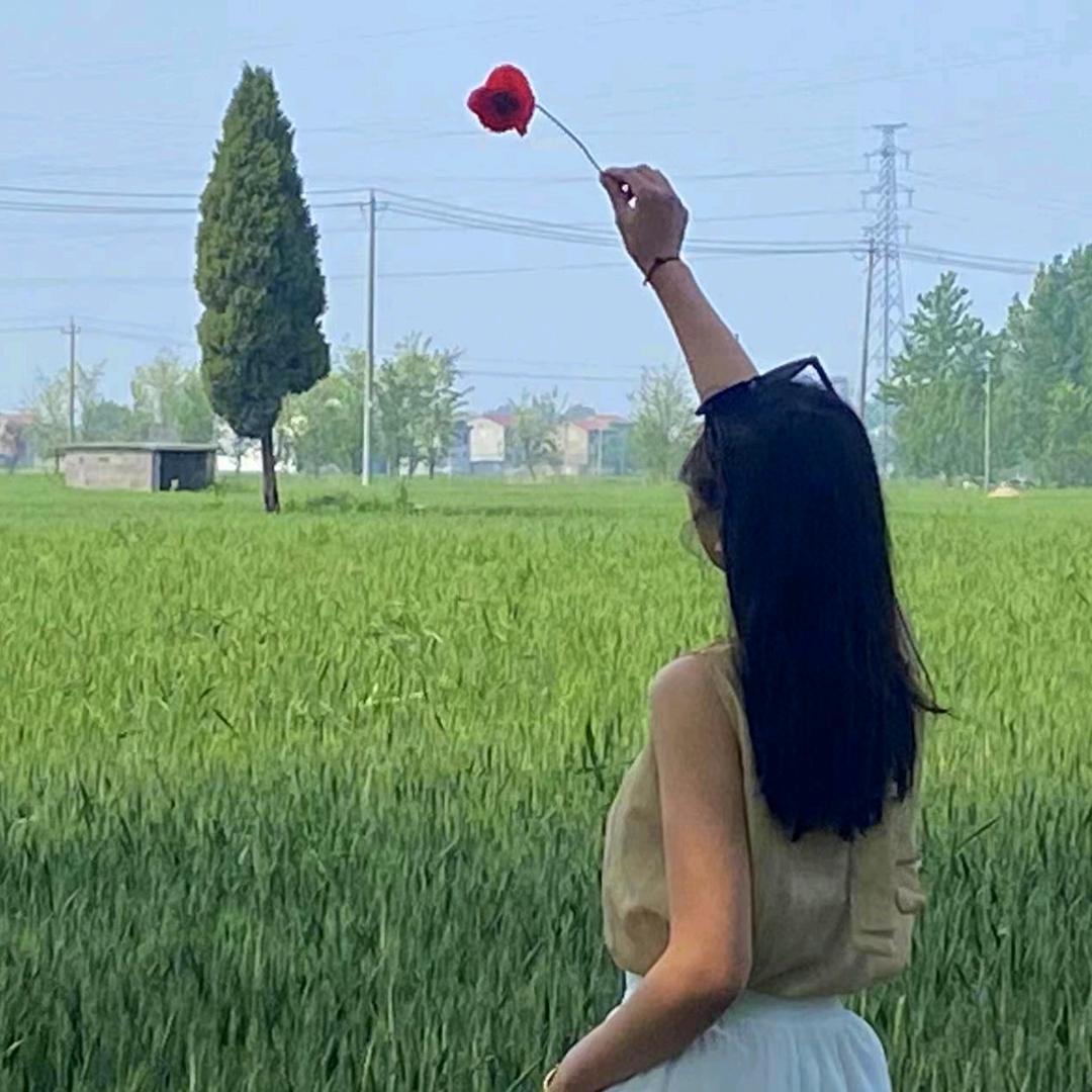 鹿鹿鹿