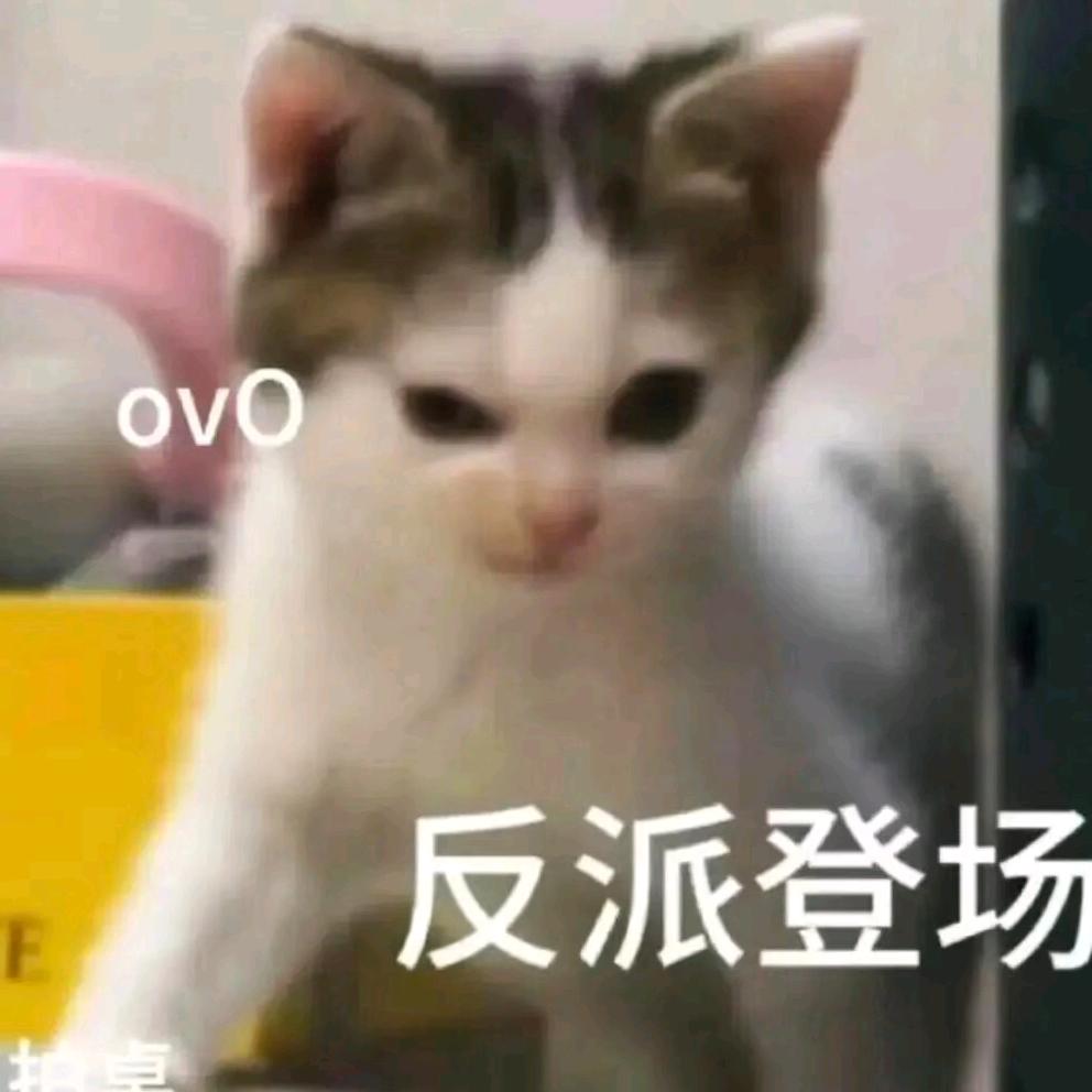 我的眼里只有泪