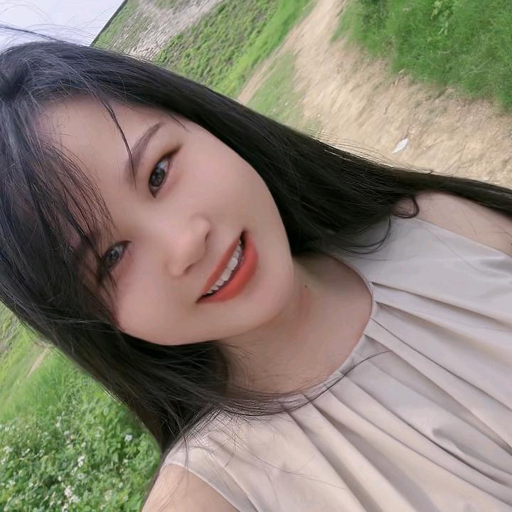 凤飞
