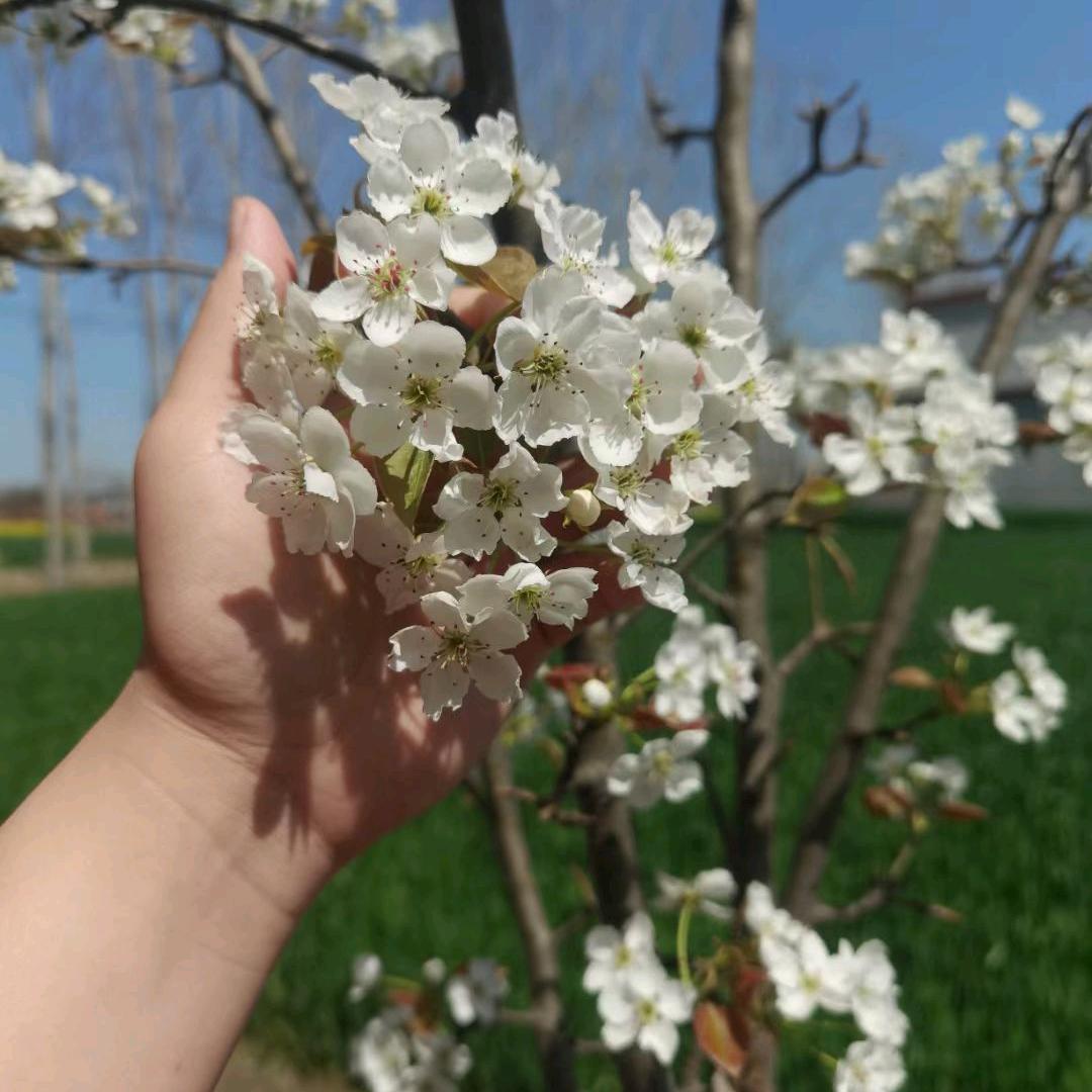 🌈不期而遇🌈