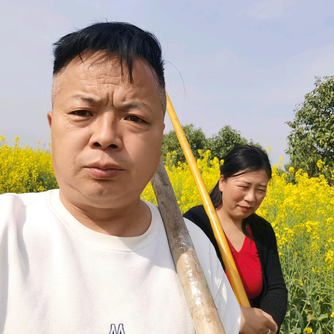 先锋哥的快乐生活