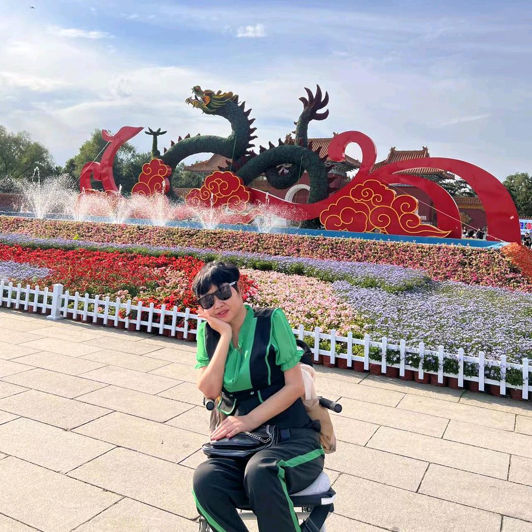 轮椅上冷玫瑰。