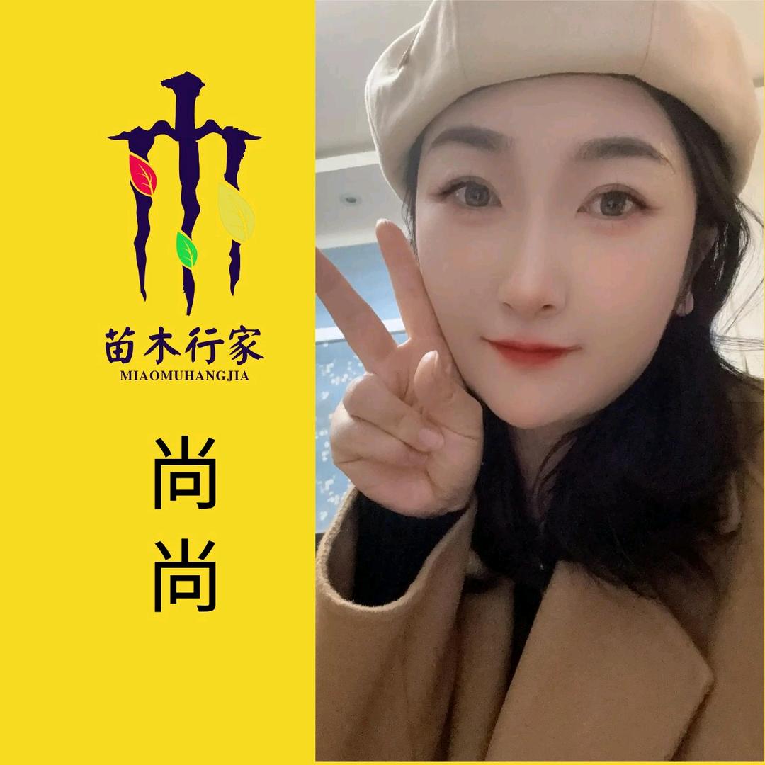 苗木行家-小尚 柳絮园林