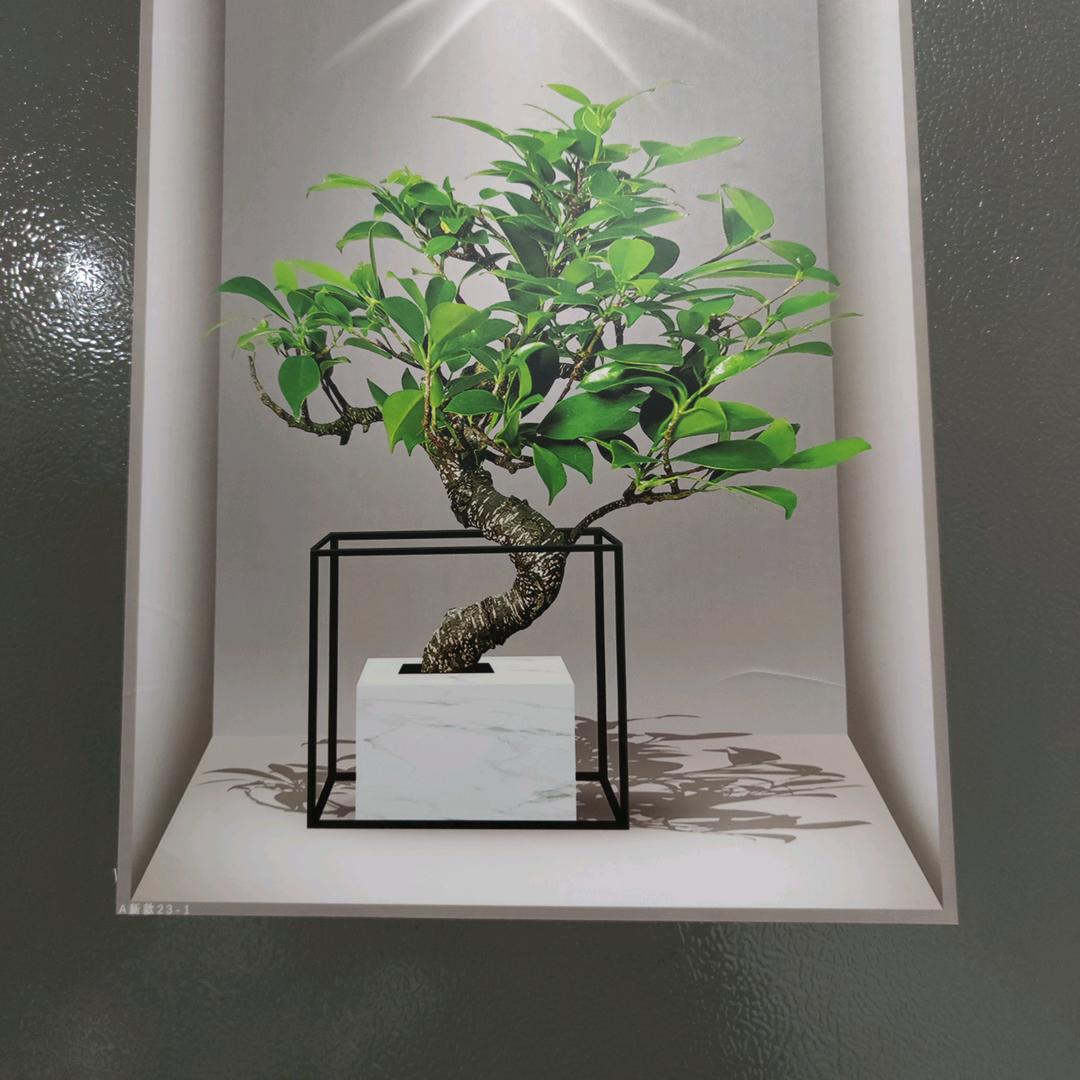 🕰️.阿海