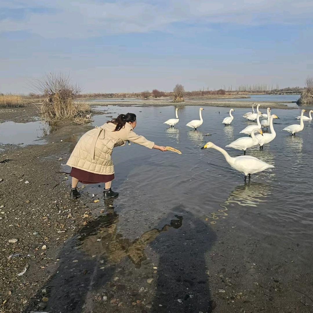 沅芷湘兰