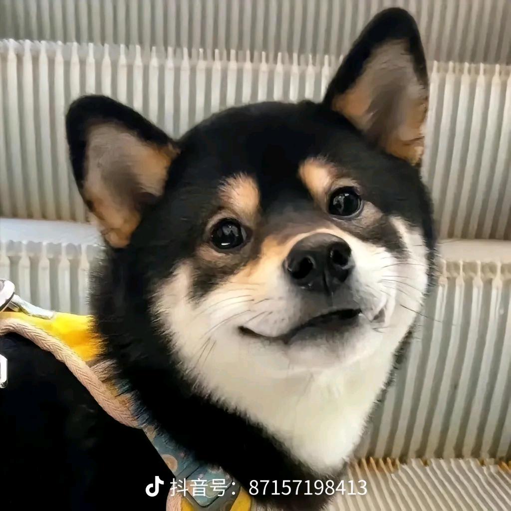 青水一