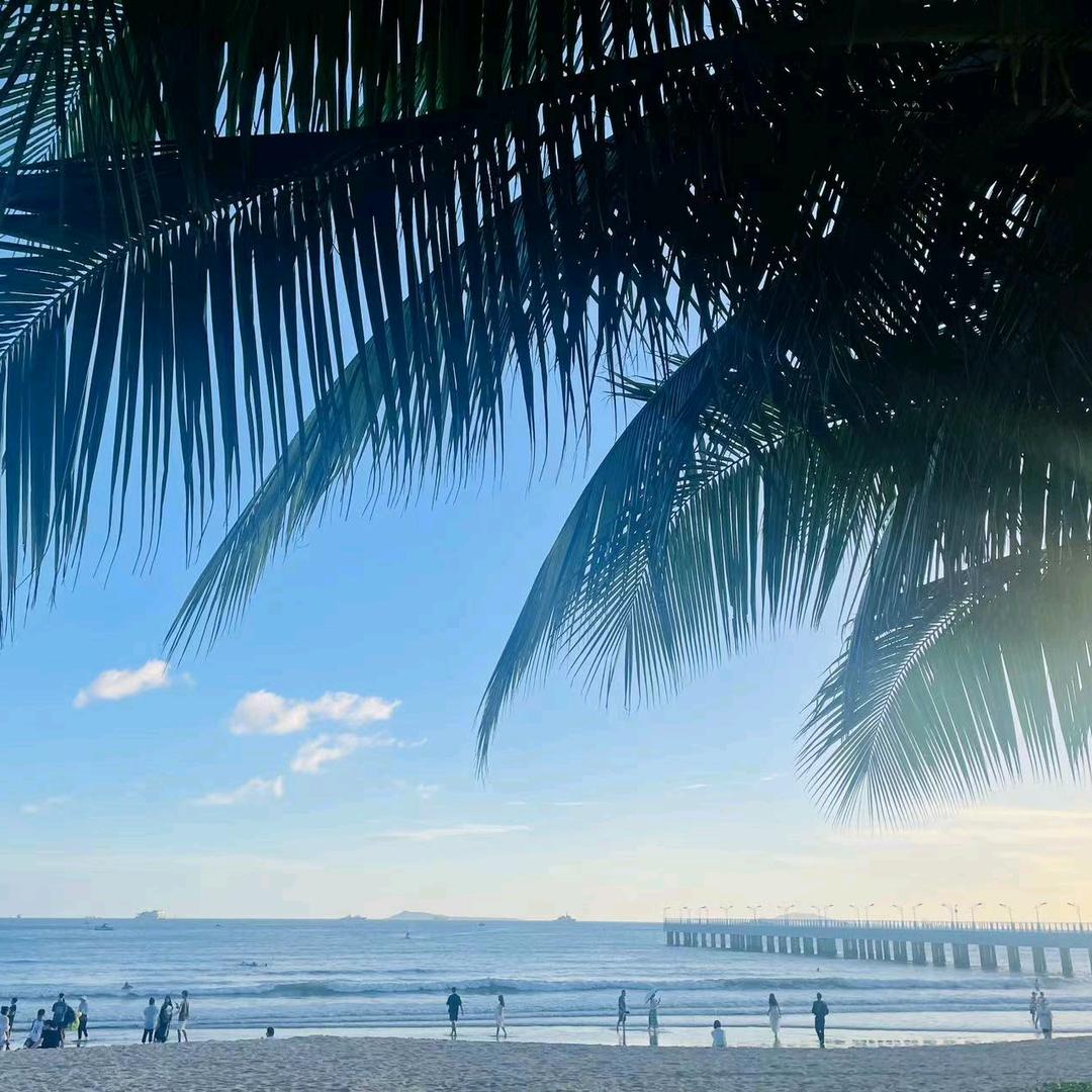 天津小邢（陪-诊）