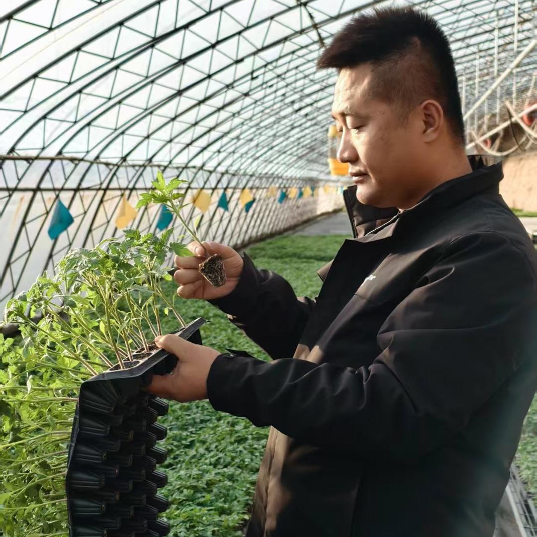 🇨🇳鑫鸿优选🤝蔡希杰👍