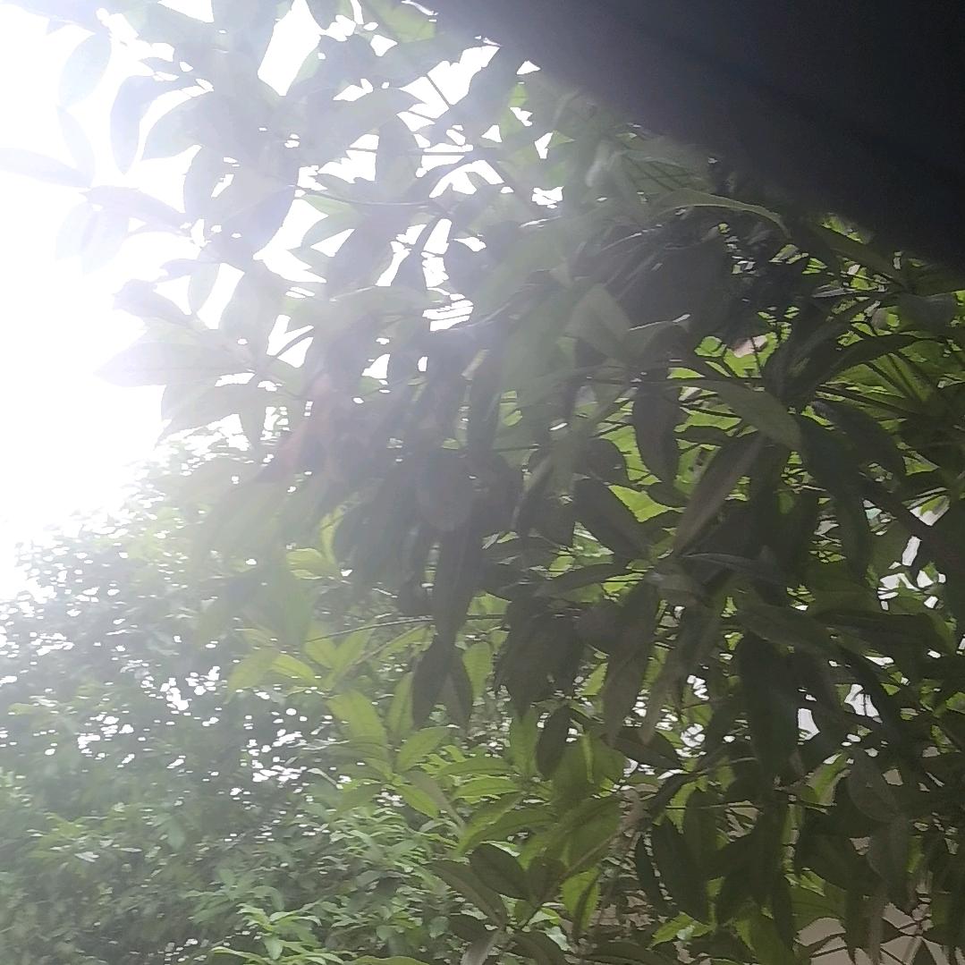 。。。。周杨