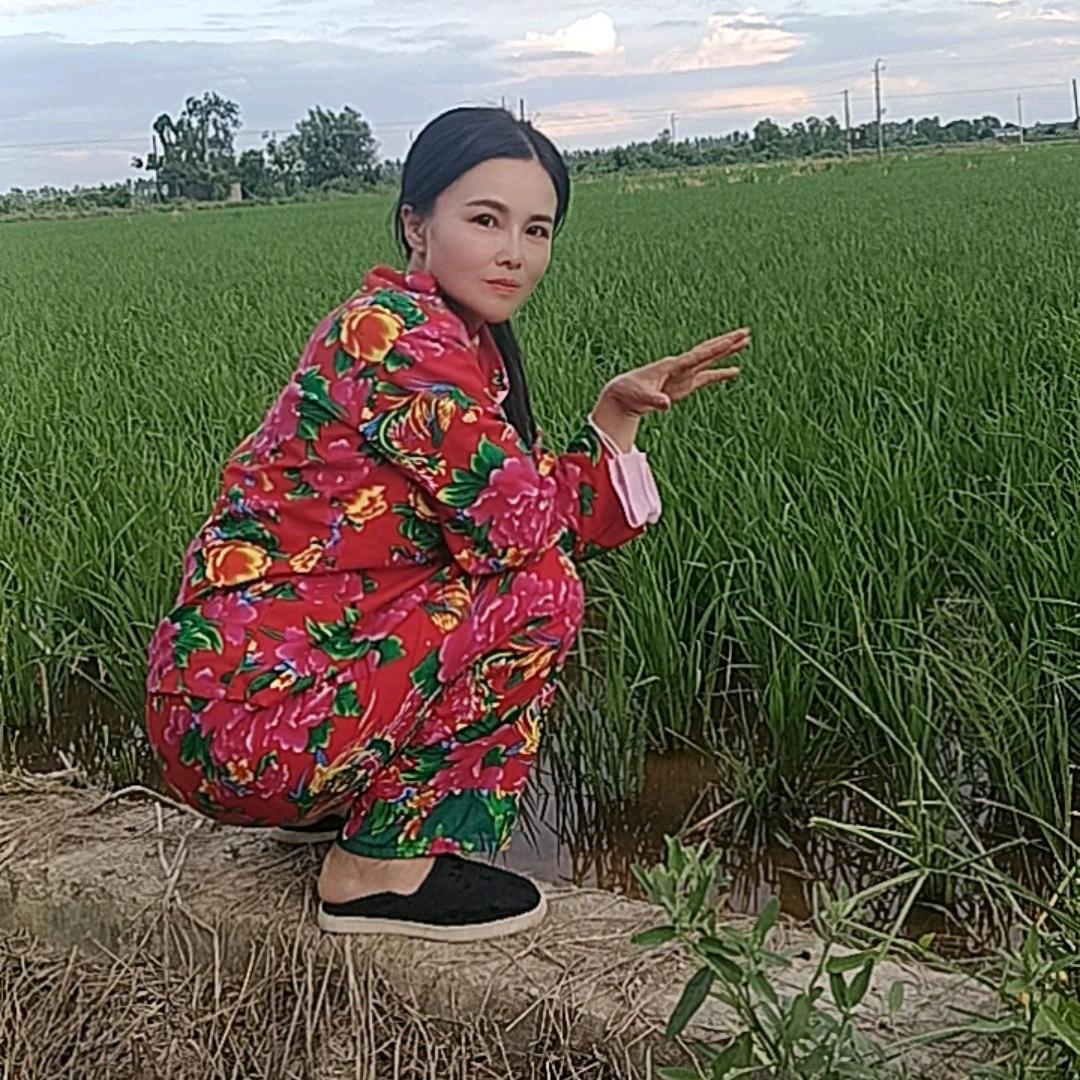 江西海燕