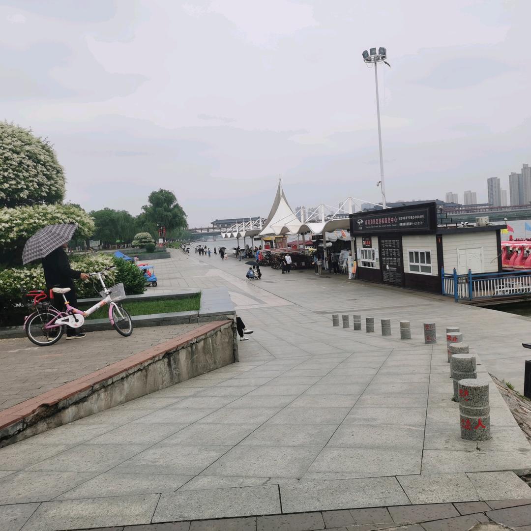 淡淡的生活你知道是什