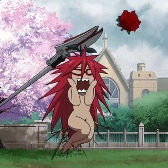 莲花清温橘