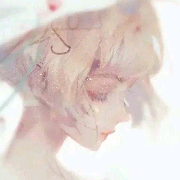 小狐狸    👑.