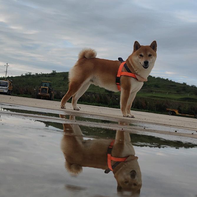 小鱼🐾