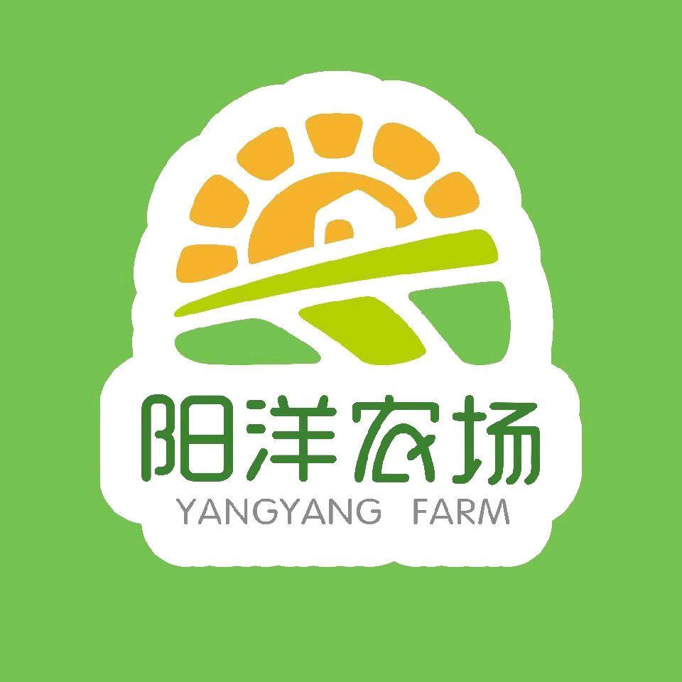 阳洋农场~薛老师