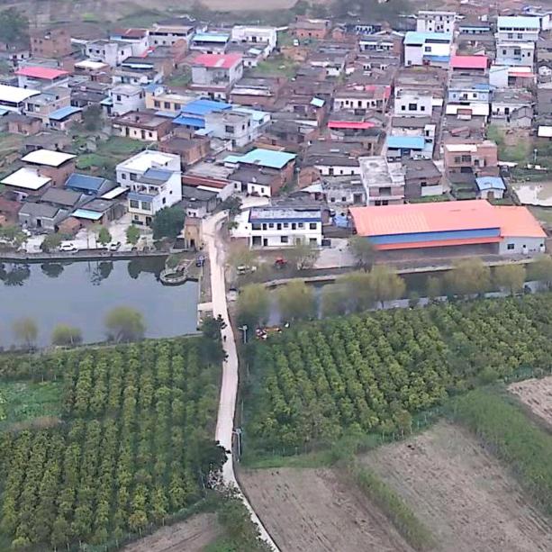 慢慢习惯没有你