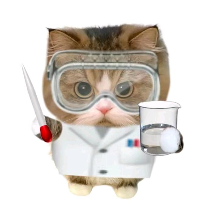 喜欢在路上逗小狗玩