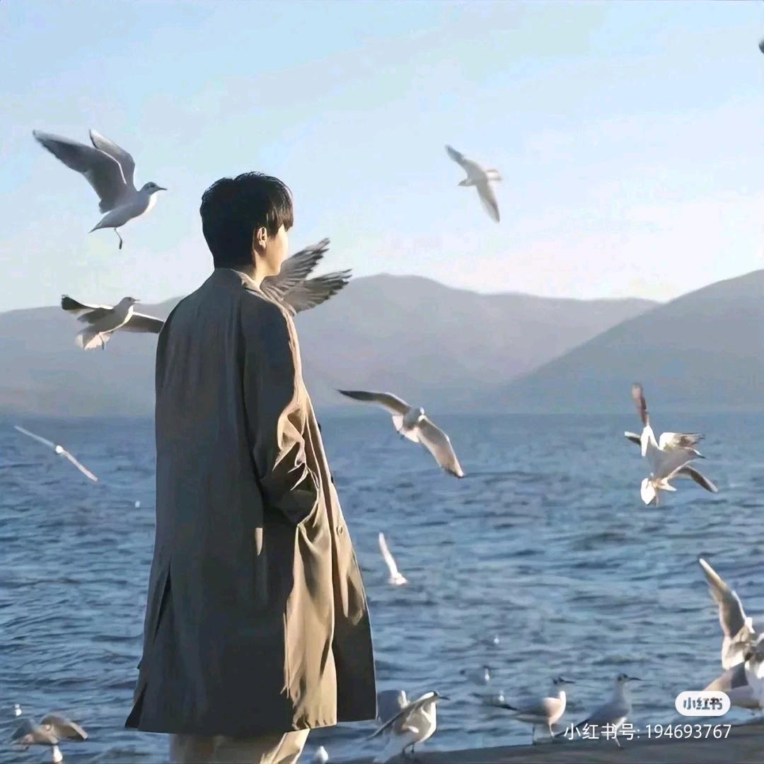 顾千寻