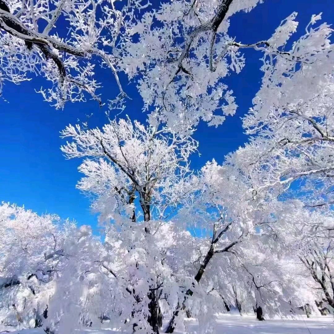 落叶