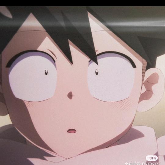 333333