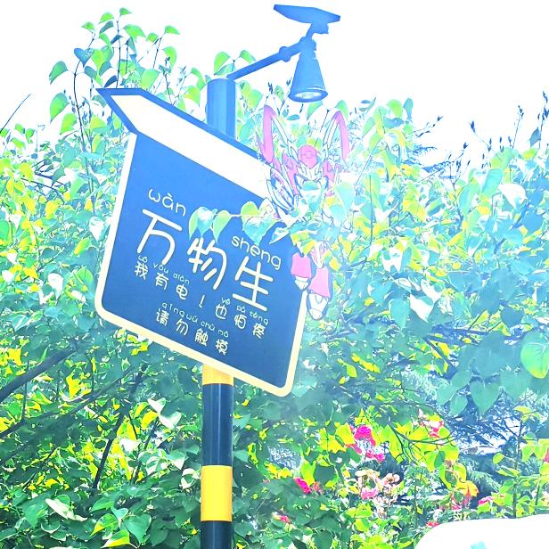 雨龙山凤