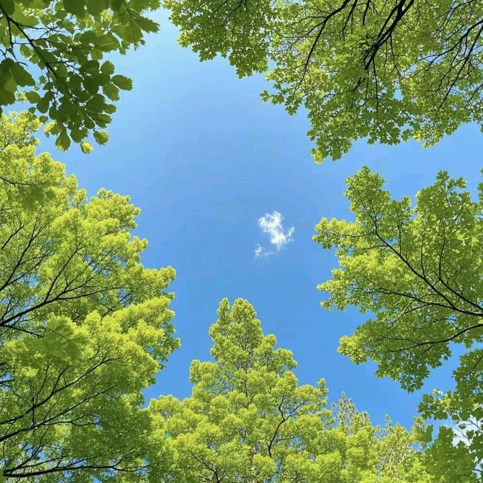 不是小号
